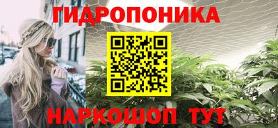 наркотики Кингисепп