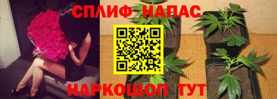 наркотики Кингисепп