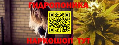 дмт Кинель