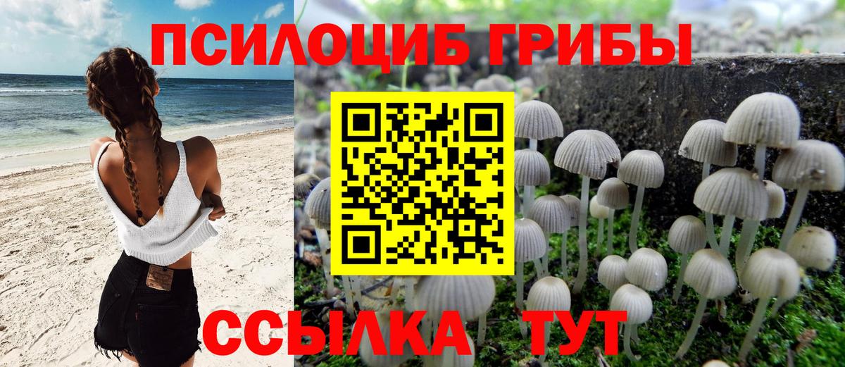 Псилоцибиновые грибы мухоморы Кубинка